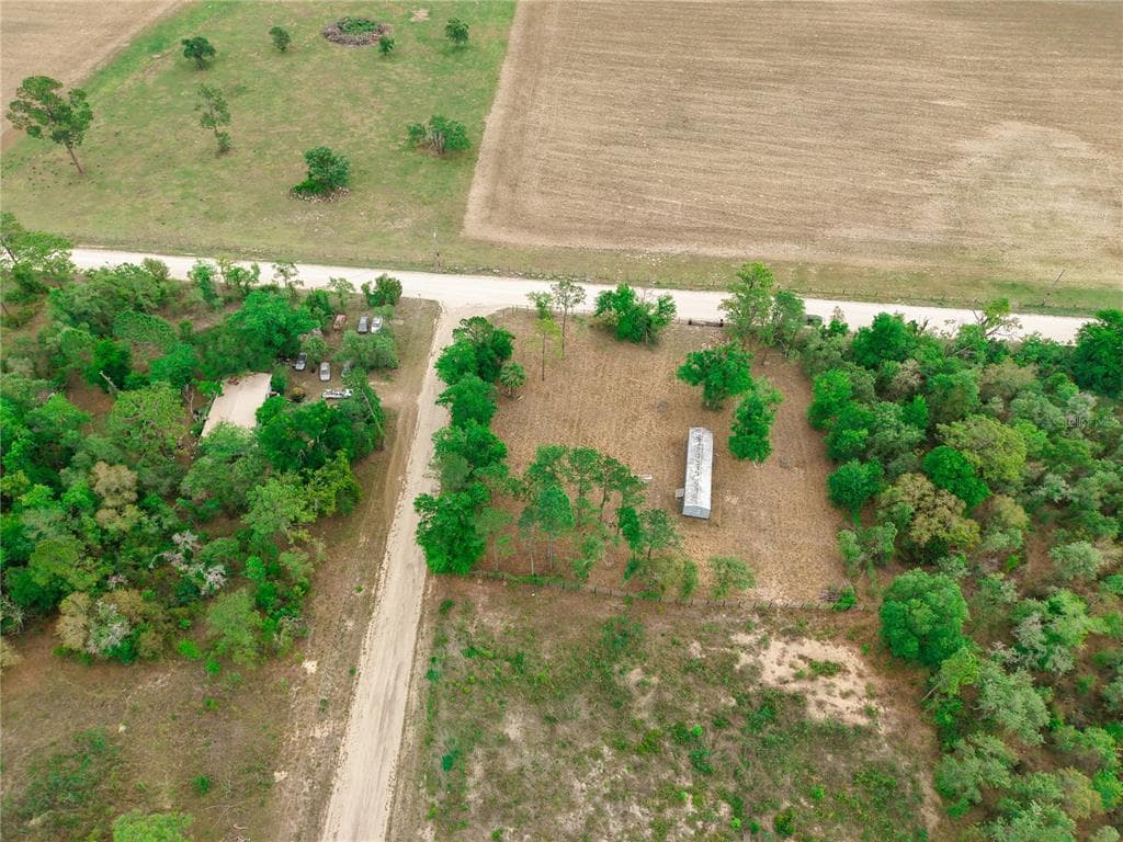 1390 NE 130TH AVENUE, WILLISTON, FL 32696 — zdjęcie 5