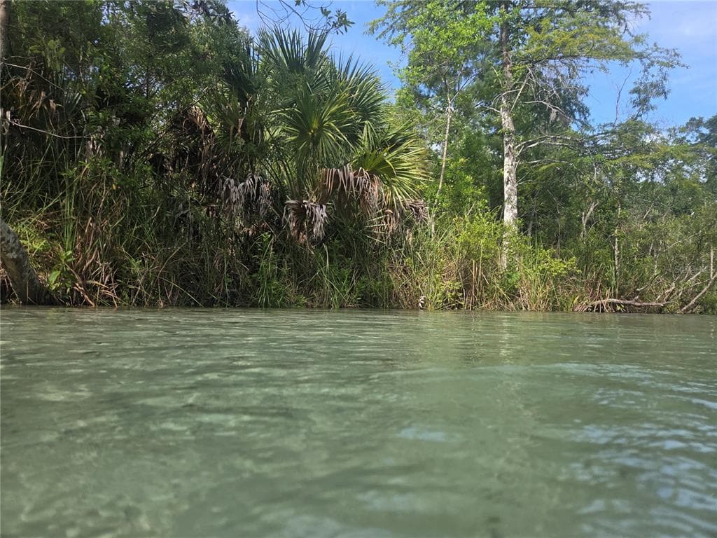 6773 E RICHARD DRIVE, WEEKI WACHEE, FL 34607 — zdjęcie 5