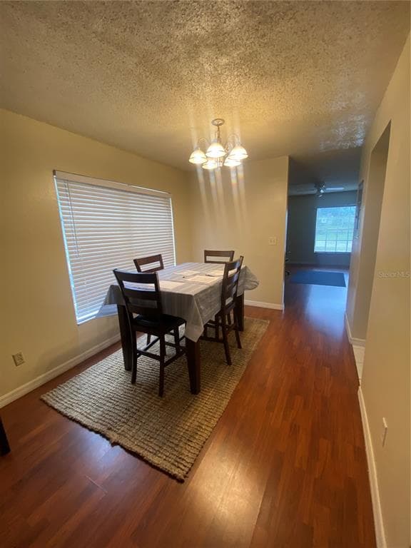 5166 SUNRIDGE PALMS DRIVE, TAMPA, FL 33617 — zdjęcie 5