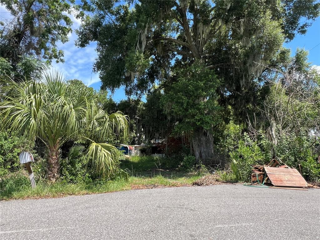2979 S GROVE STREET, EUSTIS, FL 32726 — zdjęcie 3