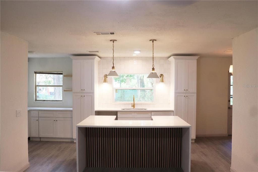 1604 STARFIRE LANE, OCOEE, FL 34761 — zdjęcie 4