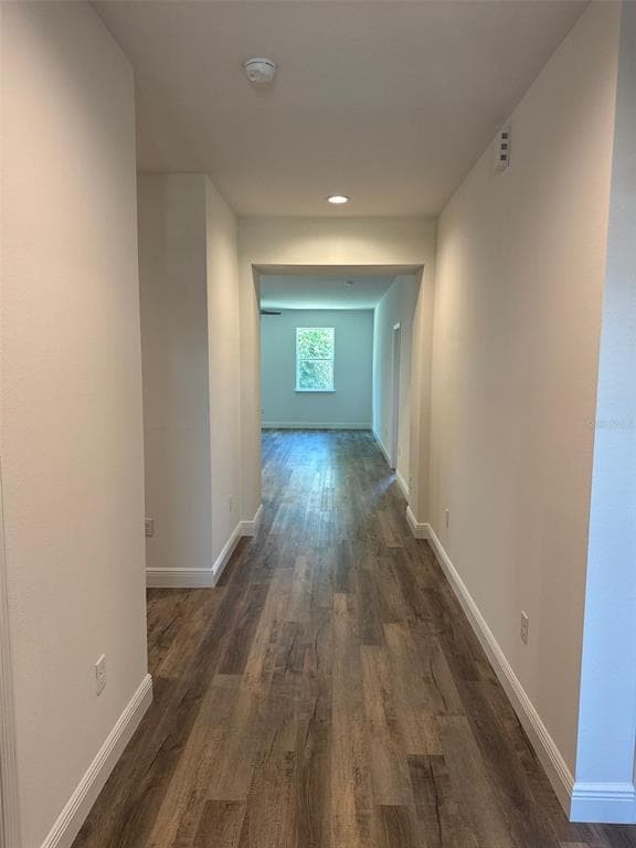 519 ELLIE COURT, APOPKA, FL 32712 — zdjęcie 2
