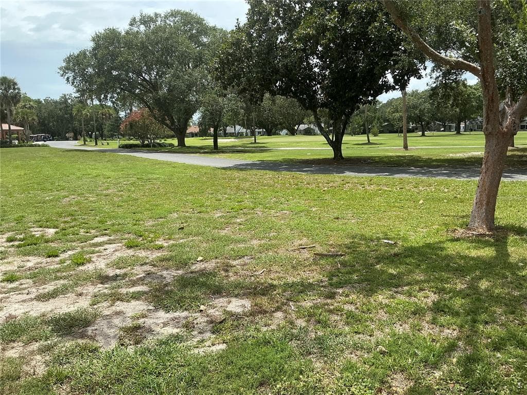 867 CORTEZ AVENUE, THE VILLAGES, FL 32159 — zdjęcie 2