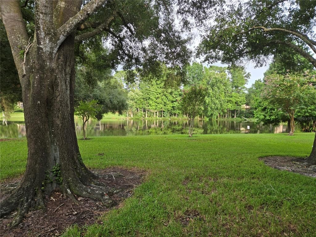 11805 SKYLAKE PLACE # C, TAMPA, FL 33617 — zdjęcie 2