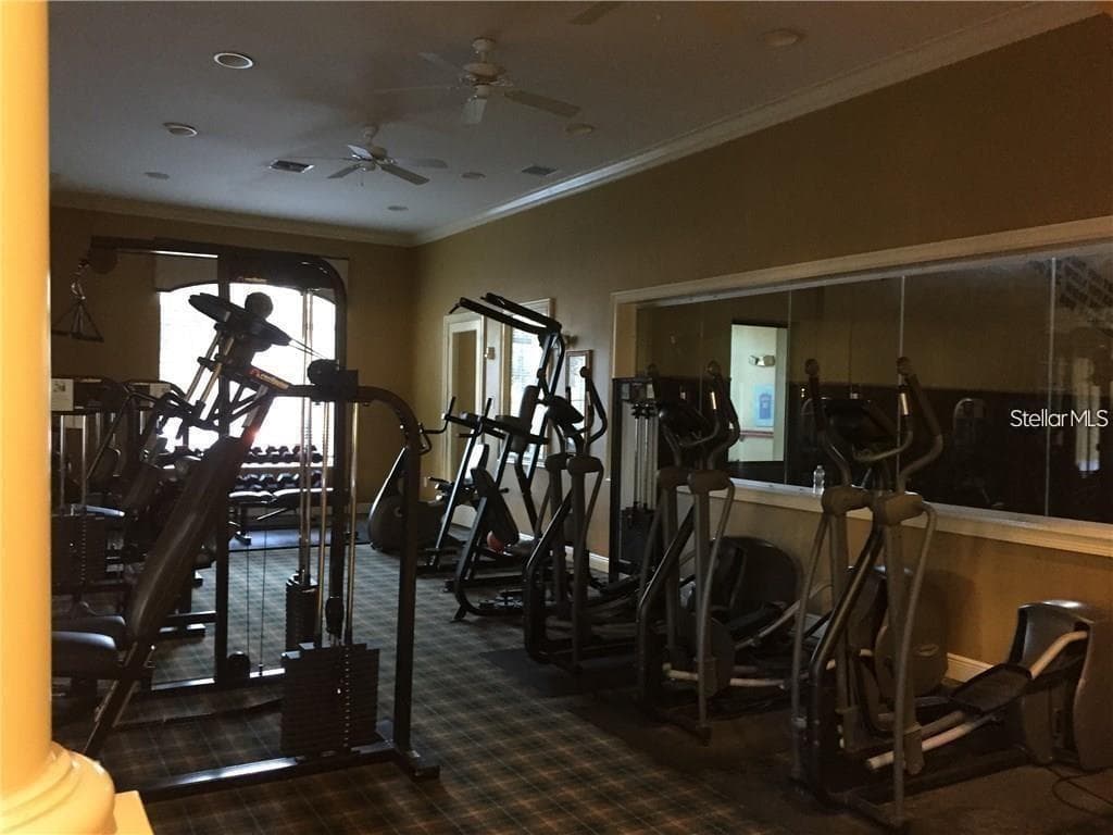 10105 COURTNEY OAKS CIRCLE # 304, TAMPA, FL 33619 — zdjęcie 4