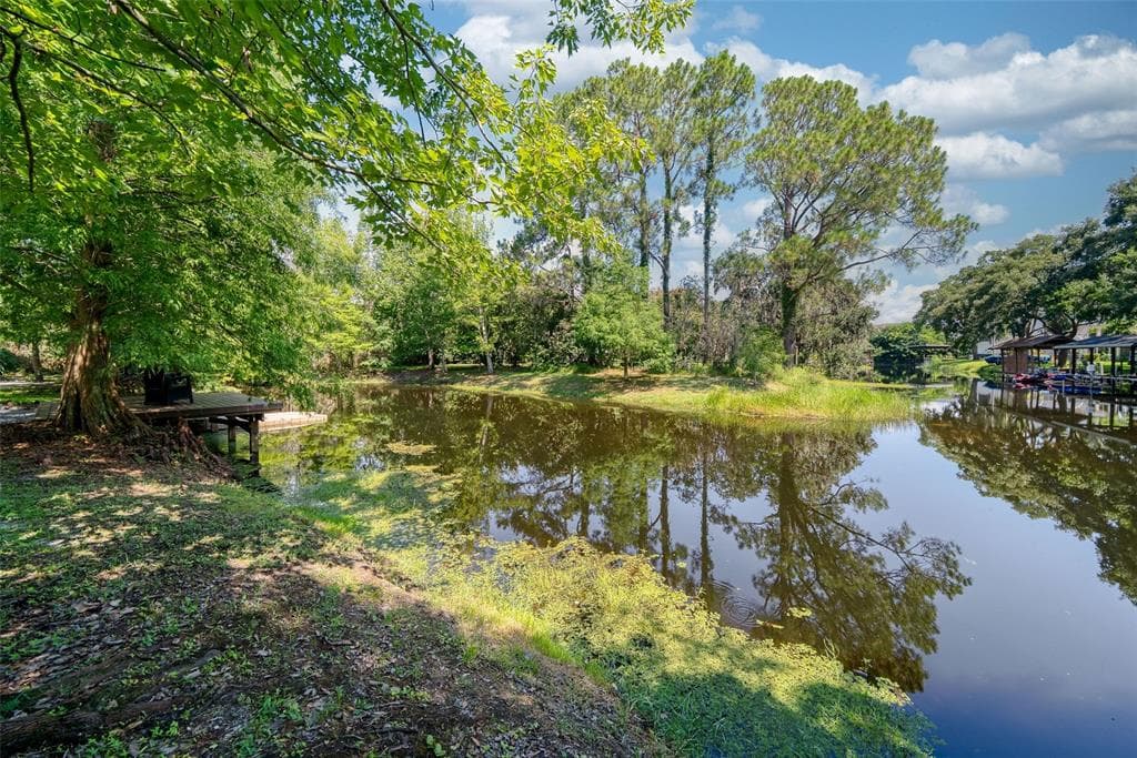 12085 SANDY SHORES DRIVE, WINDERMERE, FL 34786 — zdjęcie 5