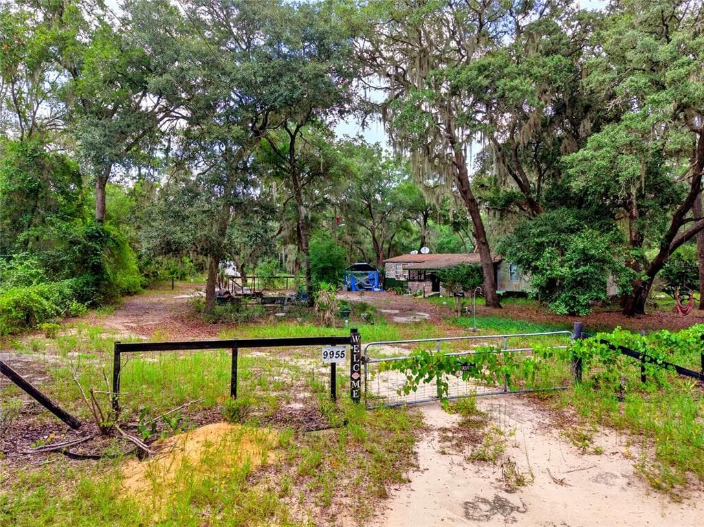 9955 SE 160TH AVENUE, OCKLAWAHA, FL 32179 — zdjęcie 2