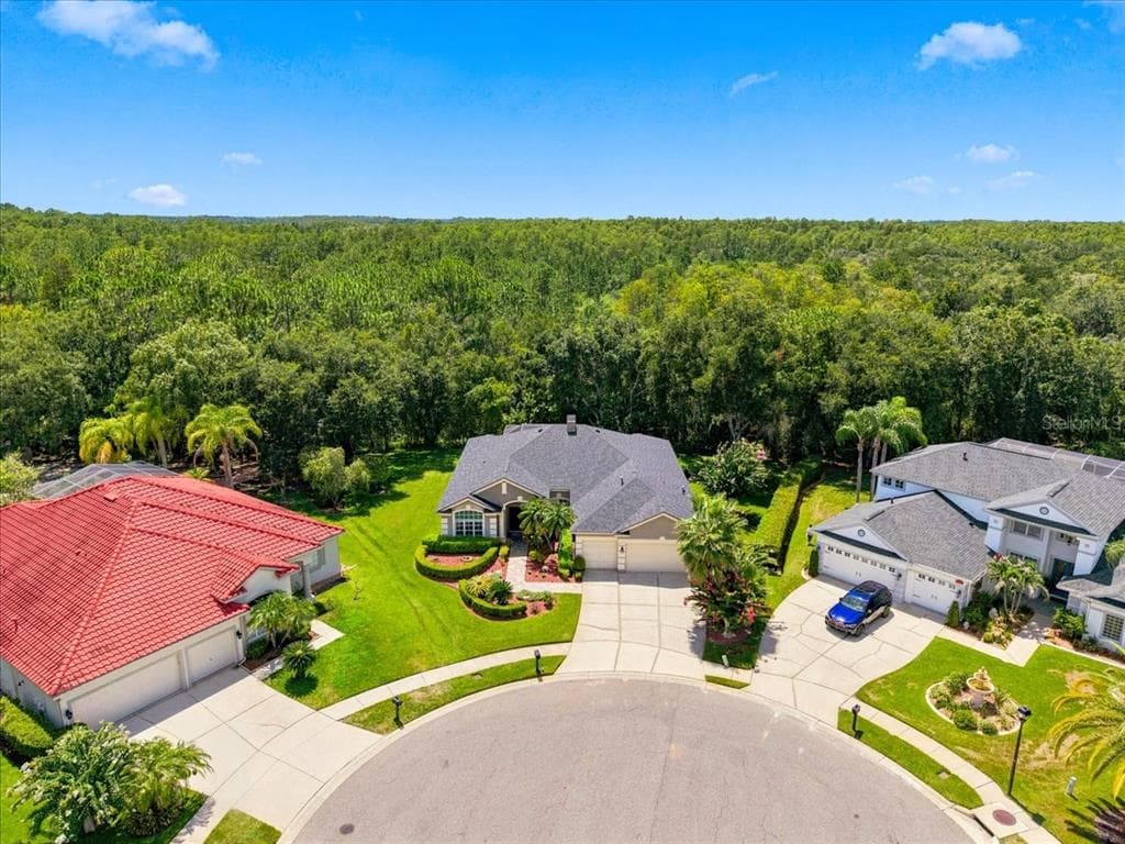 6121 CHENE COURT, LUTZ, FL 33558 — zdjęcie 4