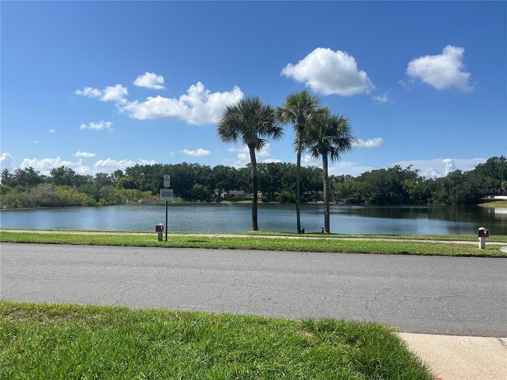 3101 VILLAGE LANE, MOUNT DORA, FL 32757 — zdjęcie 2