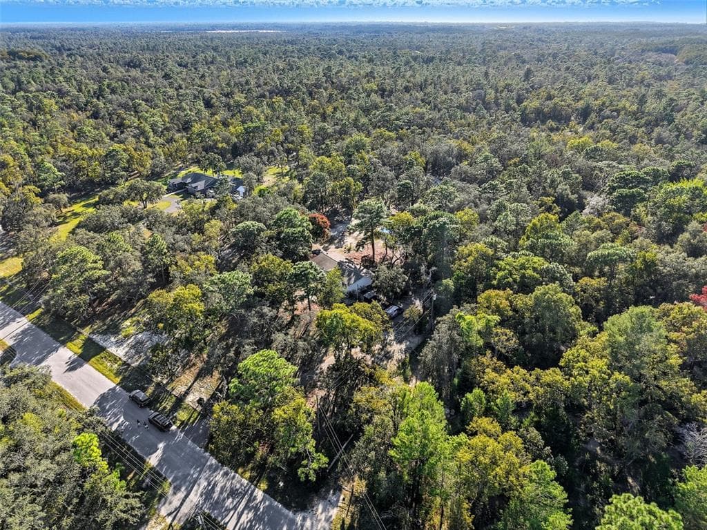17539 EDWIN TERRACE, HUDSON, FL 34667 — zdjęcie 5