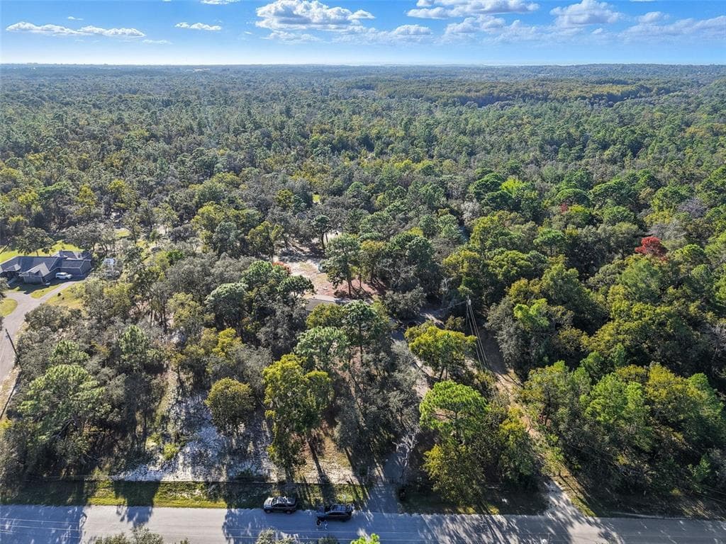 17539 EDWIN TERRACE, HUDSON, FL 34667 — zdjęcie 4