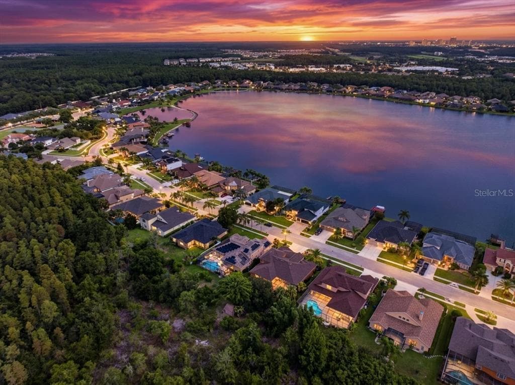 16410 IVY LAKE DRIVE, ODESSA, FL 33556 — zdjęcie 2