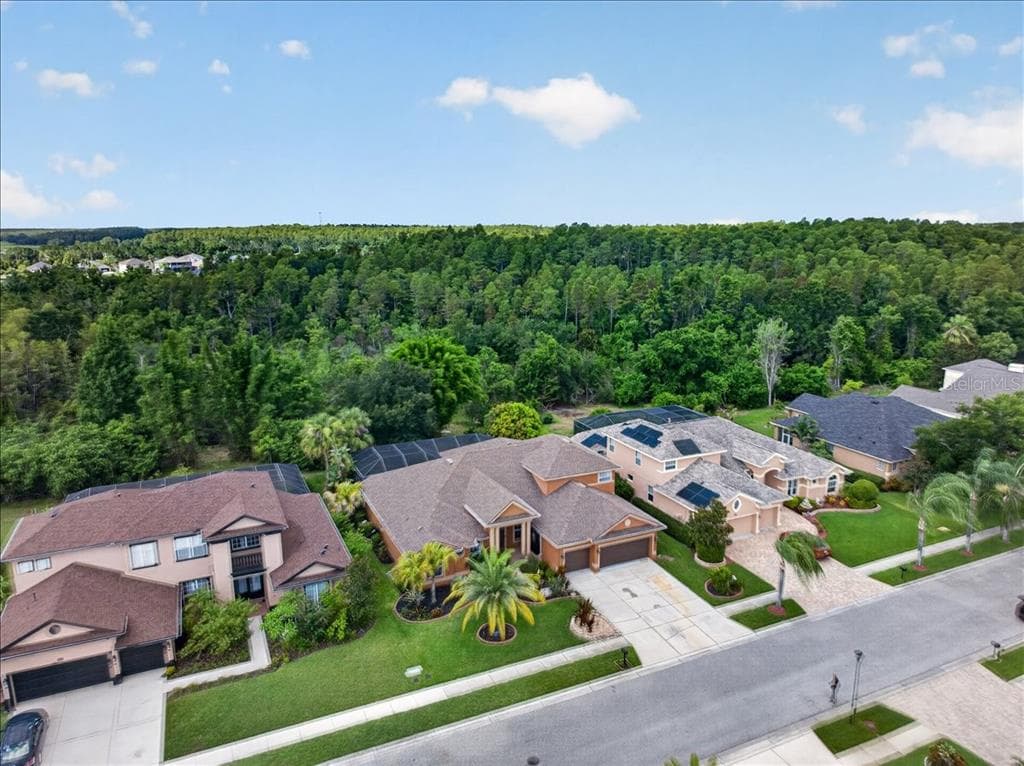 16410 IVY LAKE DRIVE, ODESSA, FL 33556 — zdjęcie 3