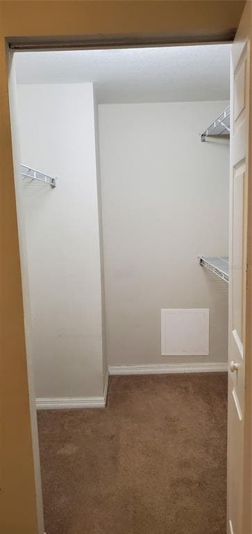 5620 PINNACLE HEIGHTS CIRCLE # 304, TAMPA, FL 33624 — zdjęcie 2