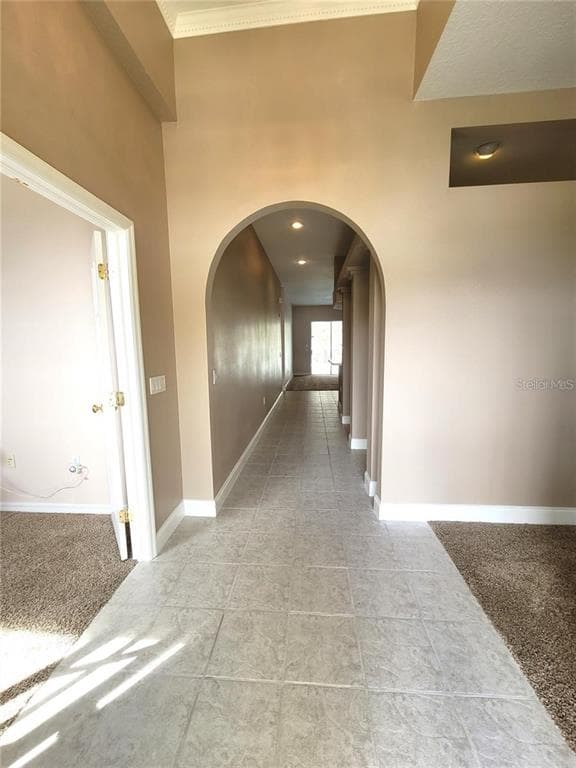 1501 DEERBOURNE DRIVE, WESLEY CHAPEL, FL 33543 — zdjęcie 4
