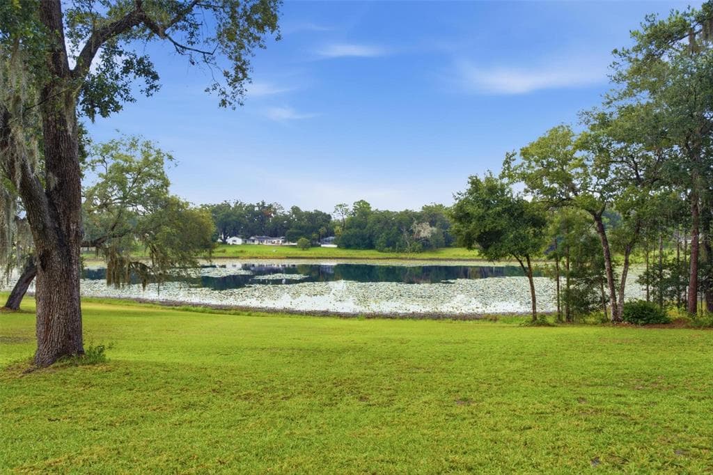 38700 LAKEVIEW DRIVE, LADY LAKE, FL 32159 — zdjęcie 3