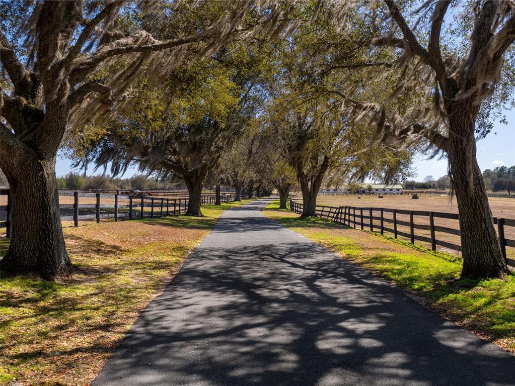 11122 W HIGHWAY 326, OCALA, FL 34482 — zdjęcie 2