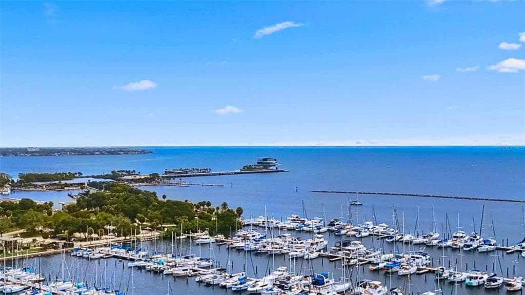 199 DALI BOULEVARD # 1106, ST PETERSBURG, FL 33701