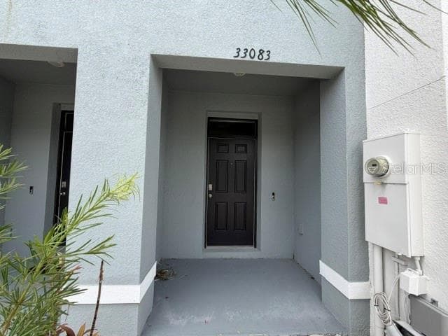 33083 FROSTED CLOVER WAY, WESLEY CHAPEL, FL 33545 — zdjęcie 2