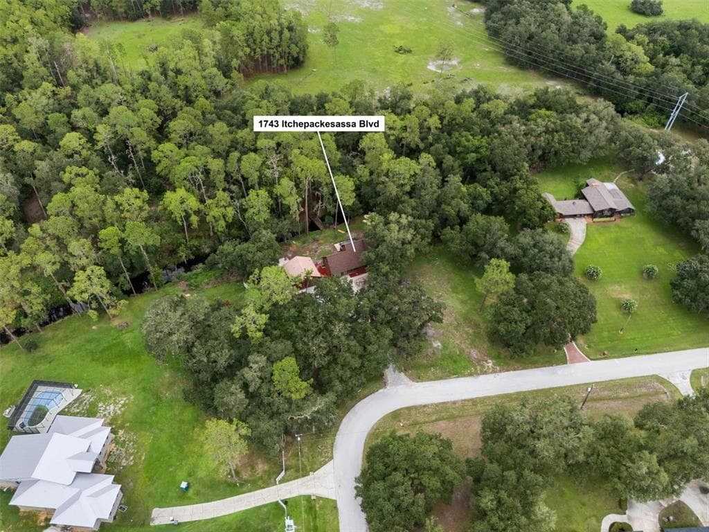 1743 ITCHEPACKESASSA DRIVE, LAKELAND, FL 33810 — zdjęcie 3