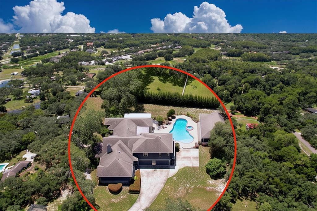 2918 MAGNOLIA TRACE, TARPON SPRINGS, FL 34688 — zdjęcie 5