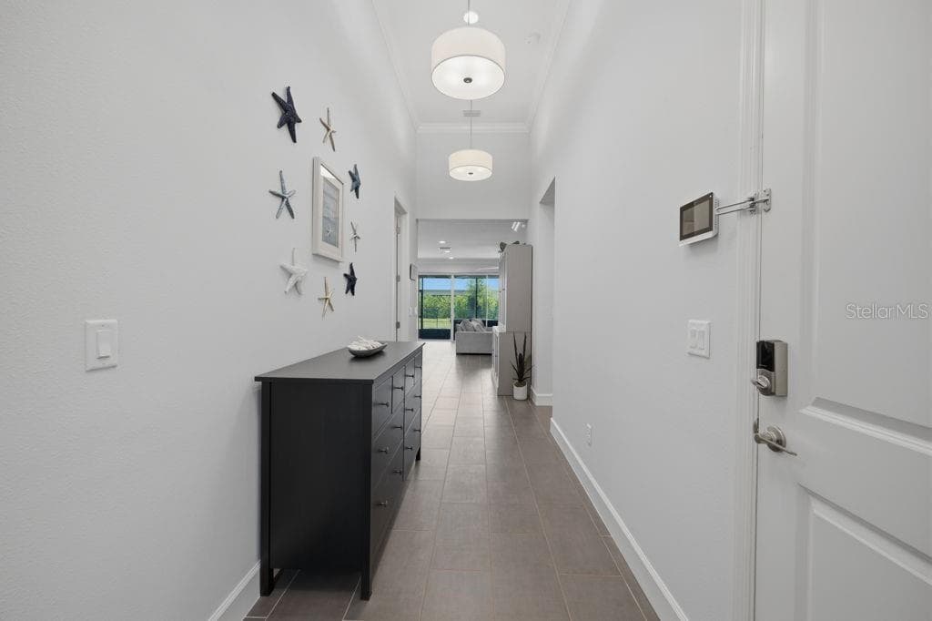 3101 MALTA AVENUE, WESLEY CHAPEL, FL 33543 — zdjęcie 4