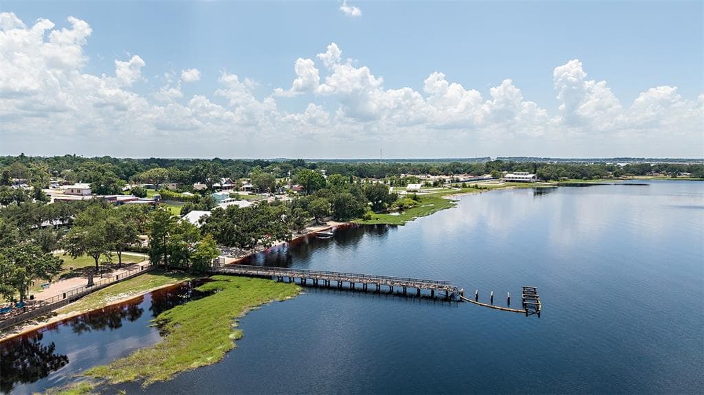 545 MOONSTONE COURT, GROVELAND, FL 34736 — zdjęcie 4