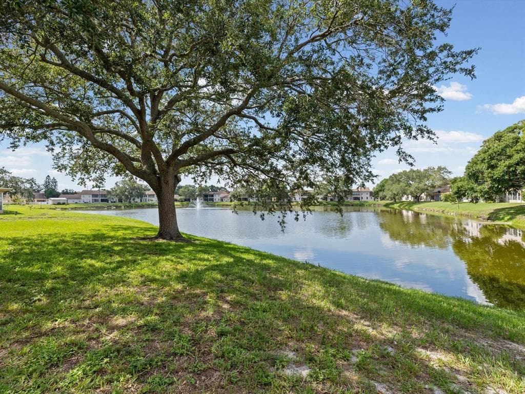 3806 STAYSAIL LANE, HOLIDAY, FL 34691 — zdjęcie 4