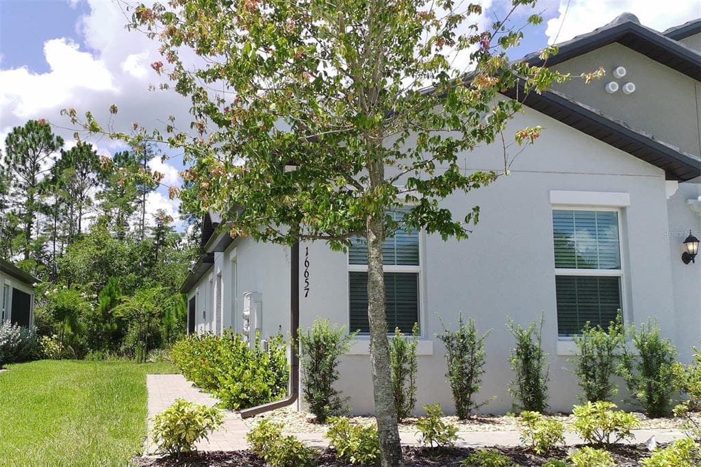 16657 SHELL BAY DRIVE, LAND O LAKES, FL 34638 — zdjęcie 3
