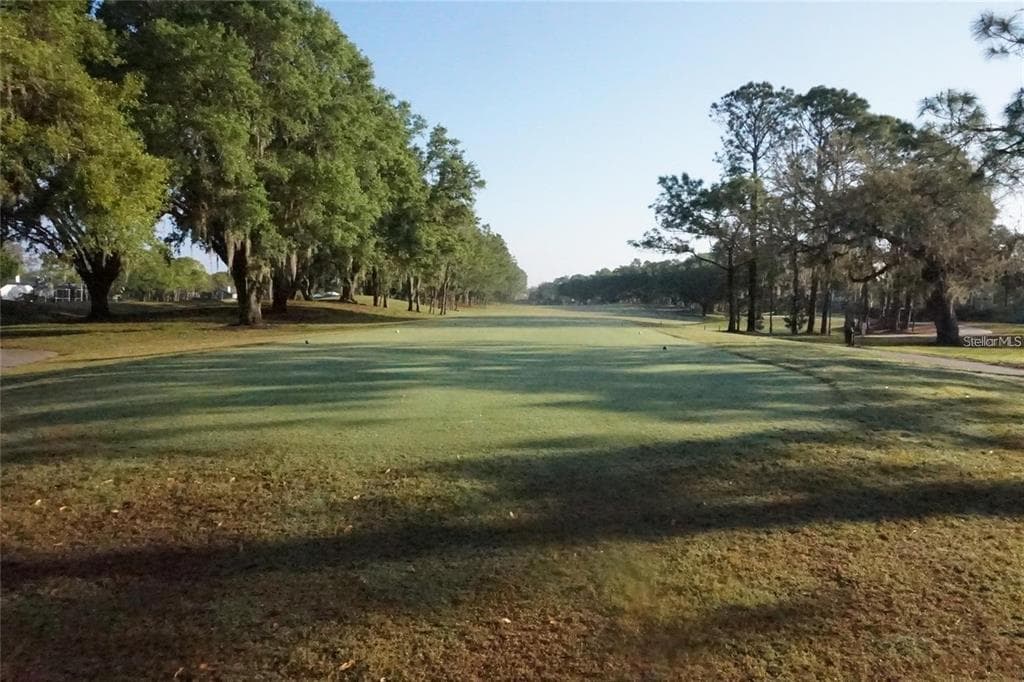 5316 COTTONWOOD TREE CIRCLE, VALRICO, FL 33596 — zdjęcie 4