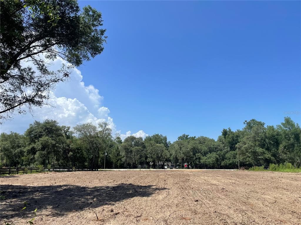 TBD SW 98TH STREET, DUNNELLON, FL 34432 — zdjęcie 3