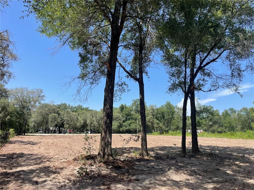 TBD SW 98TH STREET, DUNNELLON, FL 34432 — zdjęcie 4