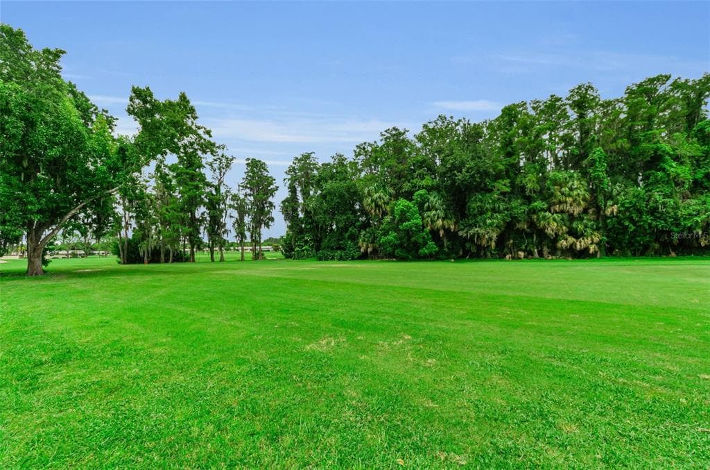 3684 TROPHY BOULEVARD, NEW PORT RICHEY, FL 34655 — zdjęcie 4
