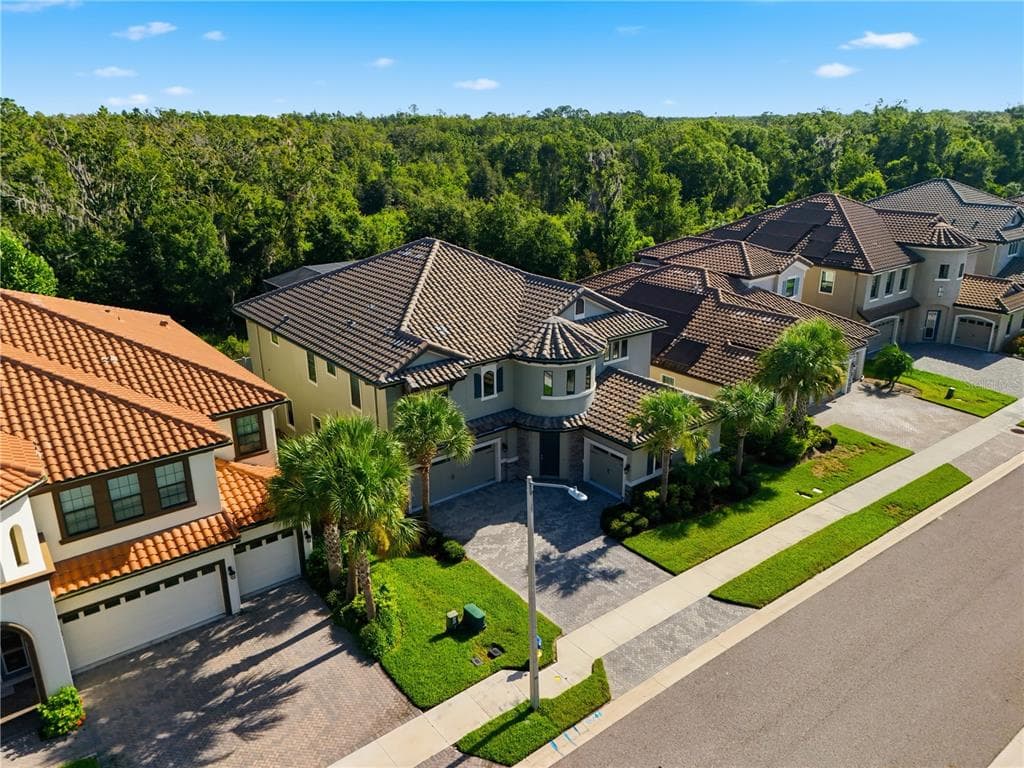 21711 AMELIA ROSE WAY, LAND O LAKES, FL 34637 — zdjęcie 5