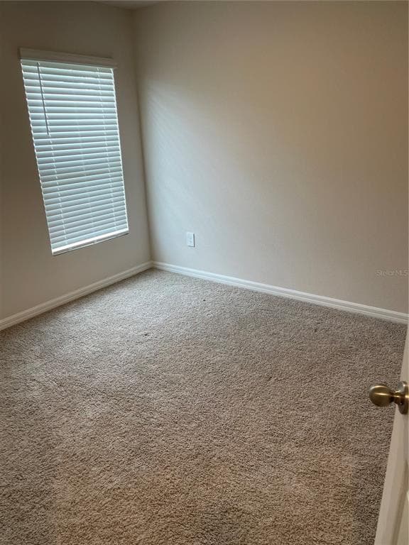 10650 HIDDEN BANKS GLEN, PARRISH, FL 34219 — zdjęcie 4