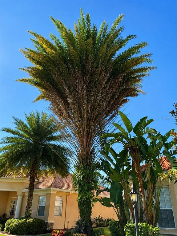 5570 ROCK DOVE DRIVE, SARASOTA, FL 34241 — zdjęcie 3