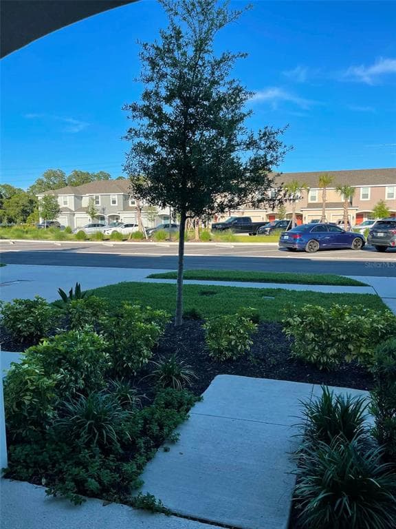 2516 PARAVANE WAY, WESLEY CHAPEL, FL 33543 — zdjęcie 3