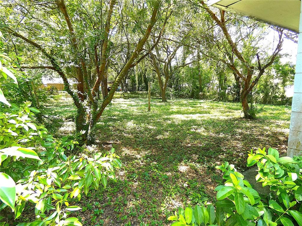 106 WILLARD AVENUE, FRUITLAND PARK, FL 34731 — zdjęcie 5
