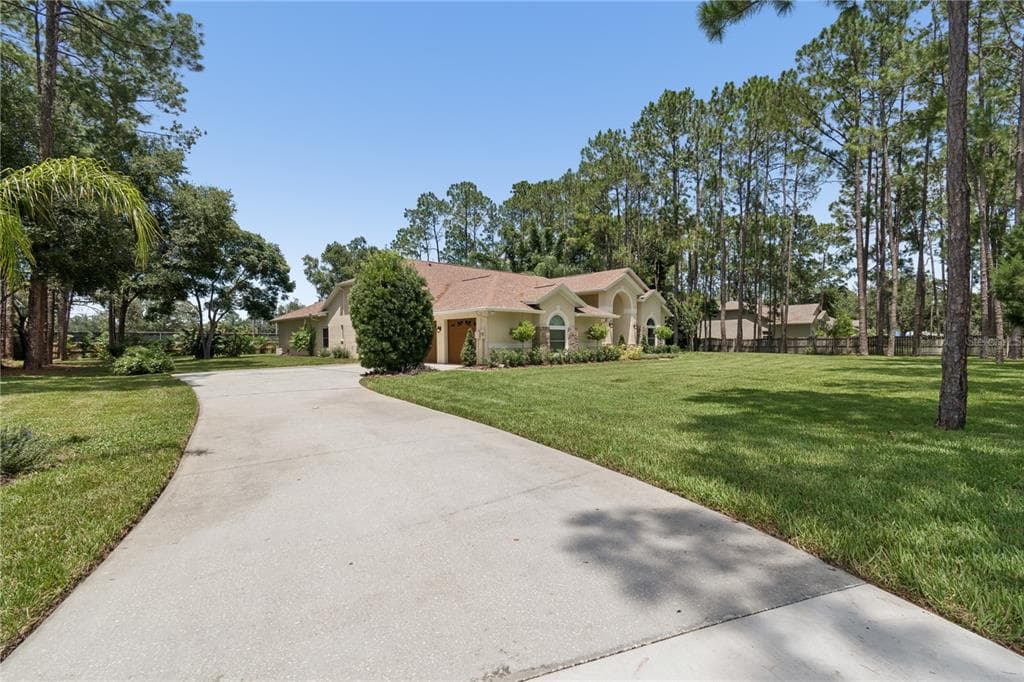 18811 VICTOR MANUEL DRIVE, LUTZ, FL 33548 — zdjęcie 4