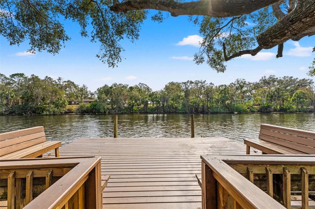 906 W HENRY AVENUE, TAMPA, FL 33604 — zdjęcie 4