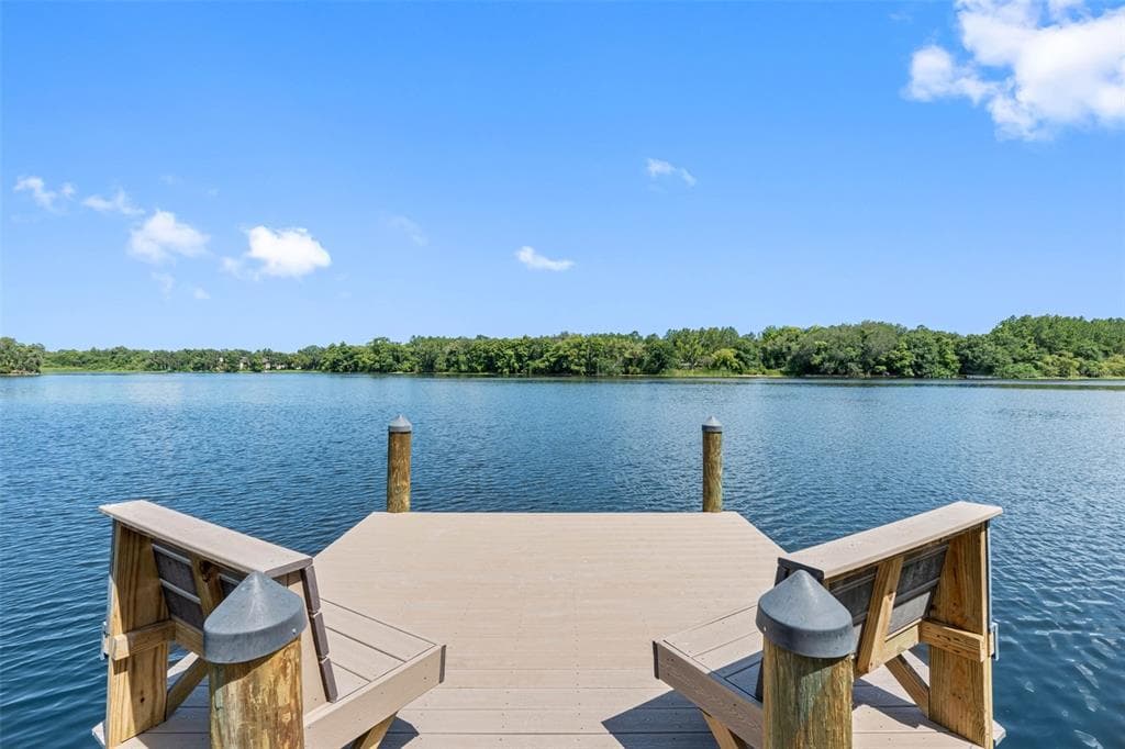 4221 RIVER HILLS DRIVE, TAMPA, FL 33617 — zdjęcie 3