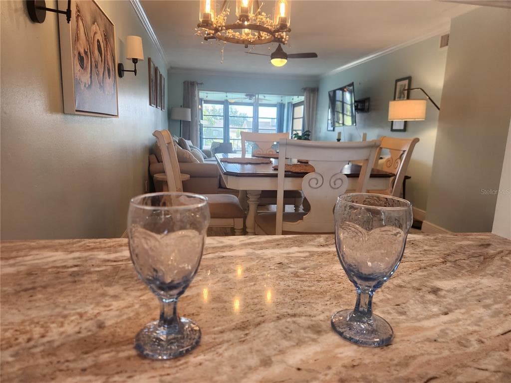 1008 APOLLO BEACH BOULEVARD # 204, APOLLO BEACH, FL 33572 — zdjęcie 5