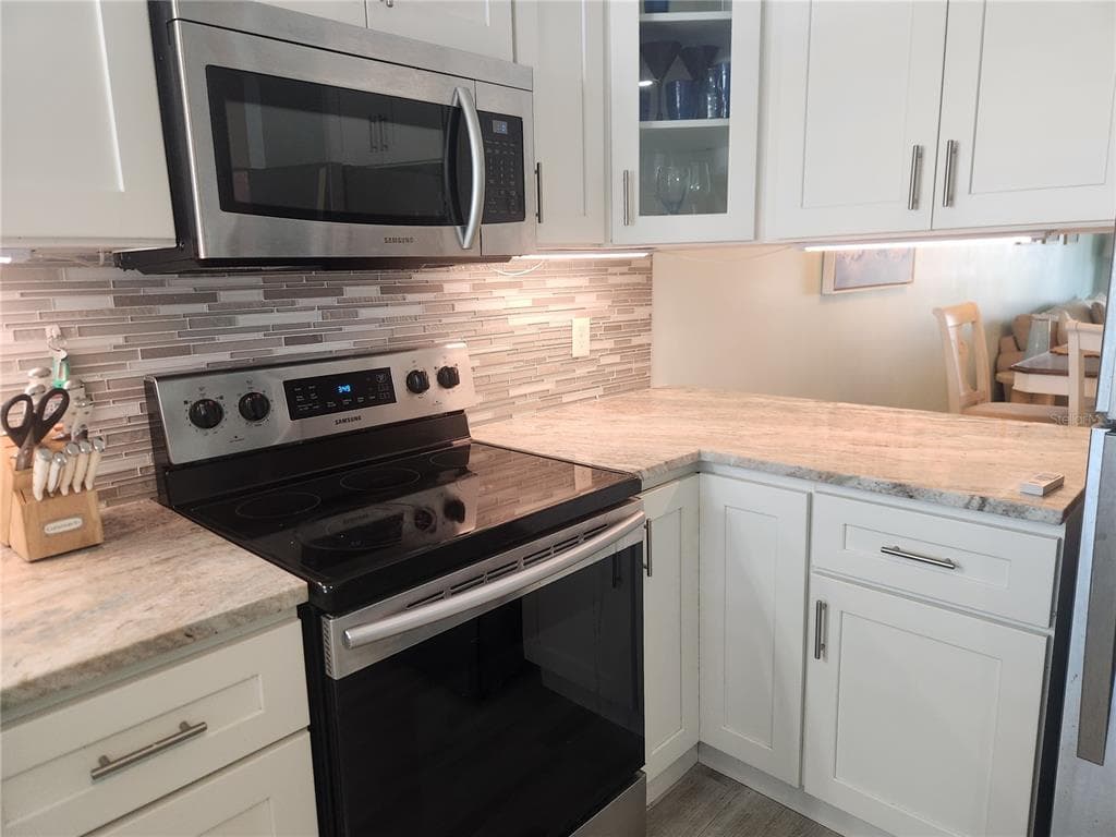 1008 APOLLO BEACH BOULEVARD # 204, APOLLO BEACH, FL 33572 — zdjęcie 4