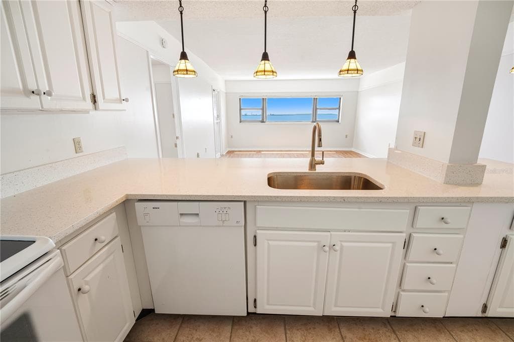 4141 BAYSHORE BOULEVARD # 602, TAMPA, FL 33611 — zdjęcie 5