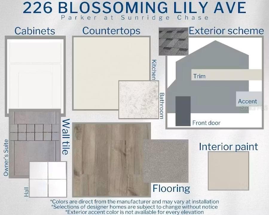 226 BLOSSOMING LILY AVENUE, RUSKIN, FL 33570 — zdjęcie 3