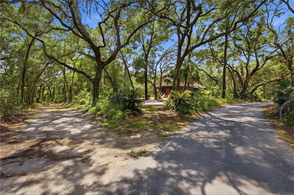 6850 ROUND LAKE ROAD, MOUNT DORA, FL 32757 — zdjęcie 5