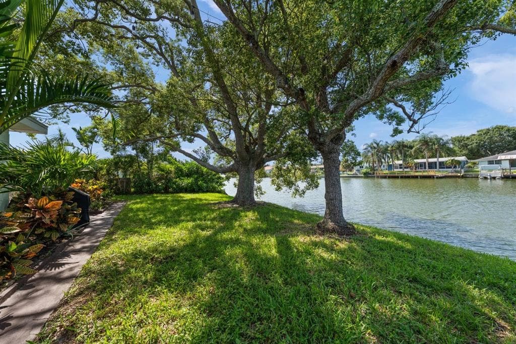 4114 SUNRAY DRIVE, HOLIDAY, FL 34691 — zdjęcie 4