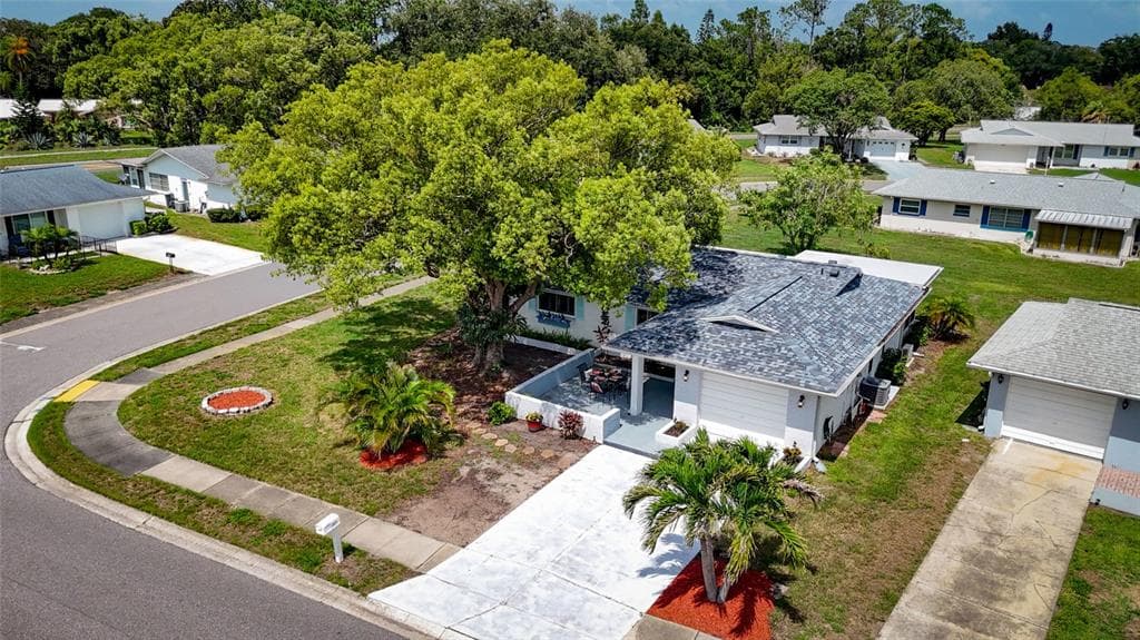 1496 QUEEN ANNE DRIVE, PALM HARBOR, FL 34684 — zdjęcie 3