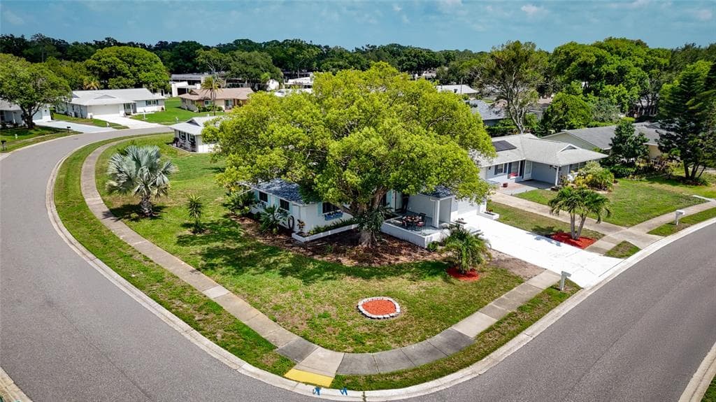 1496 QUEEN ANNE DRIVE, PALM HARBOR, FL 34684 — zdjęcie 5