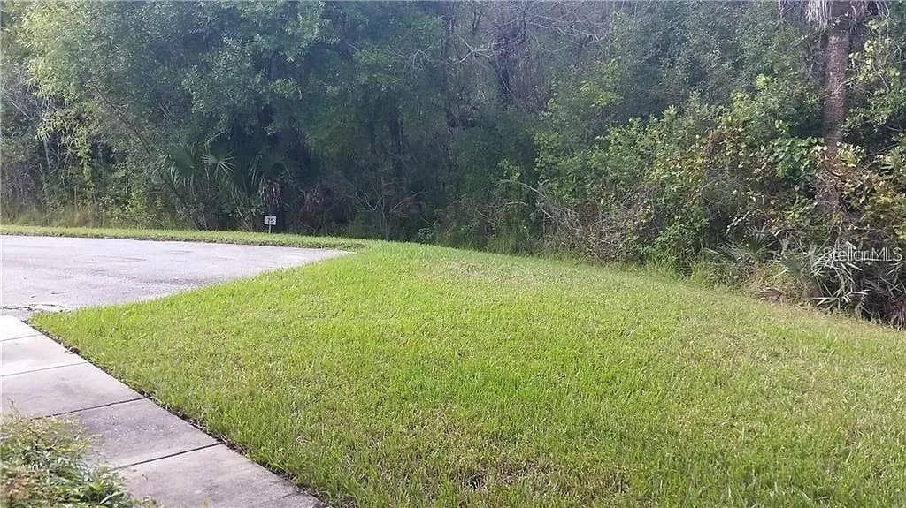 16317 NEWBURY PALMS COURT, TAMPA, FL 33647 — zdjęcie 5
